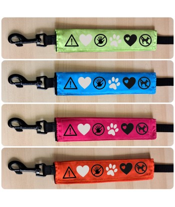 bandeau de laisse, fait main, message, chien