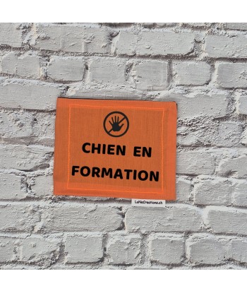 bandeau de harnais, fait main, message, chien