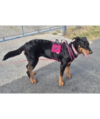 bandeau de harnais, fait main, message, chien