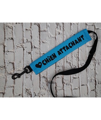 bandeau de laisse, fait main, message, chien