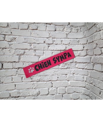 bandeau de laisse, fait main, message, chien