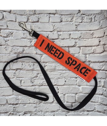 bandeau de laisse, fait main, message, chien