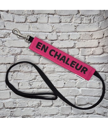 bandeau de laisse, fait main, message, chien