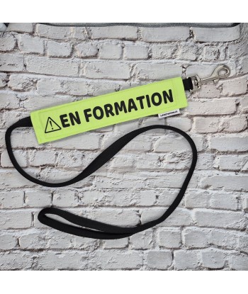 bandeau de laisse, fait main, message, chien