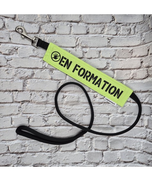 bandeau de laisse, fait main, message, chien