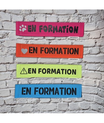 bandeau de laisse, fait main, message, chien