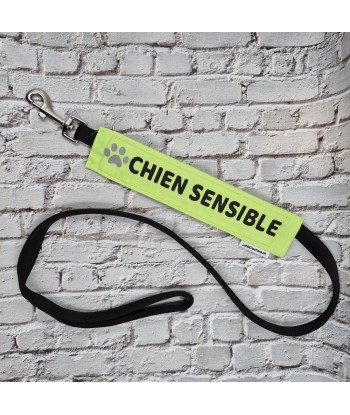 bandeau de laisse, fait main, message, chien