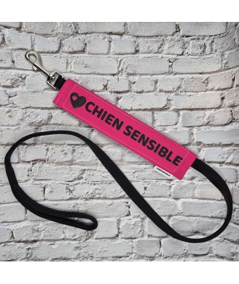 bandeau de laisse, fait main, message, chien