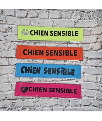 bandeau de laisse, fait main, message, chien