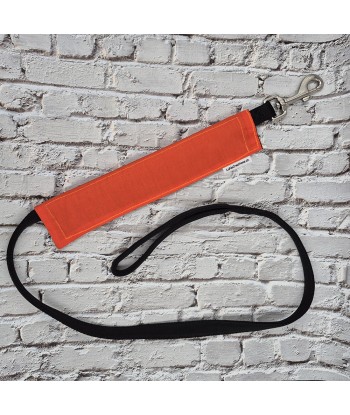 bandeau de laisse, fait main, message, chien