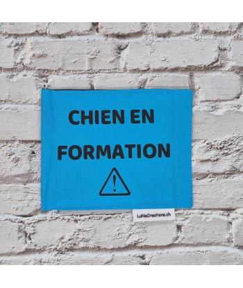 bandeau de harnais, fait main, message, chien